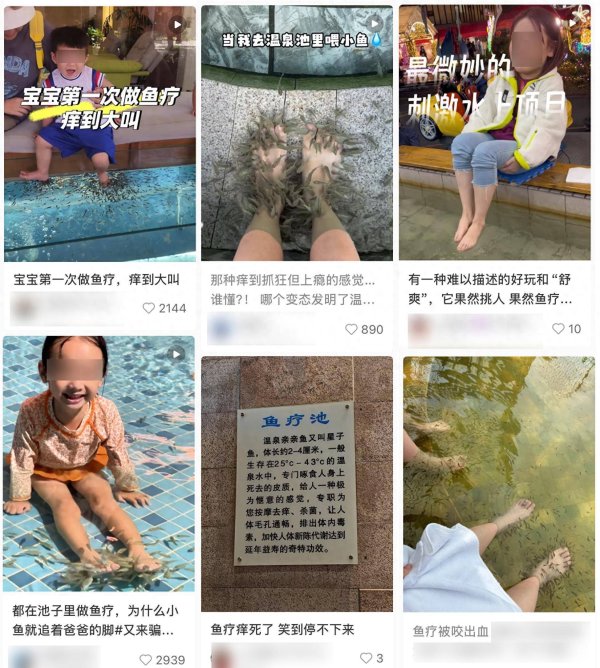 开源优配 泡脚“鱼疗”后，她被截掉了5个脚趾！这5类人千万不要随意尝试！