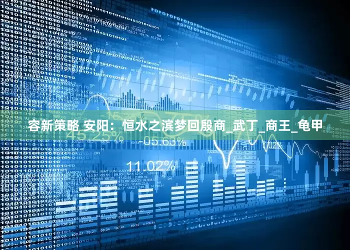 容新策略 安阳：恒水之滨梦回殷商_武丁_商王_龟甲