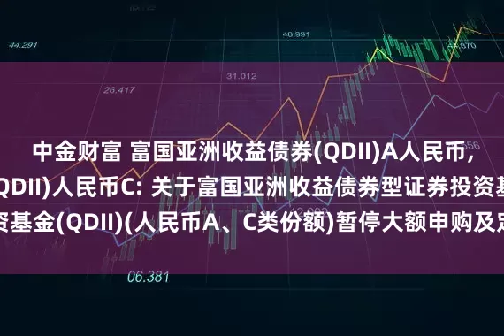 中金财富 富国亚洲收益债券(QDII)A人民币,富国亚洲收益债券(QDII)人民币C: 关于富国亚洲收益债券型证券投资基金(QDII)(人民币A、C类份额)暂停大额申购及定期定额投资业务的公告