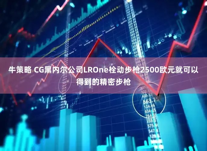 牛策略 CG黑内尔公司LROne栓动步枪2500欧元就可以得到的精密步枪