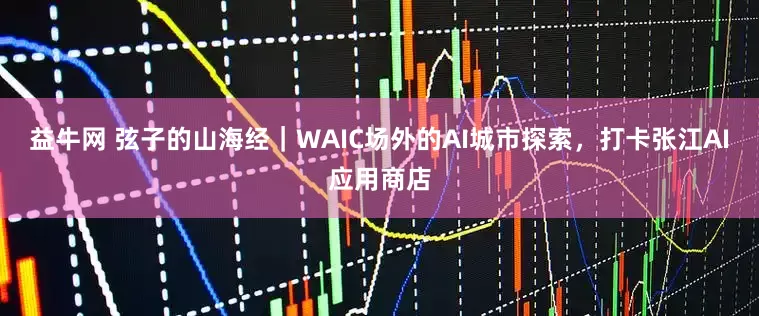 益牛网 弦子的山海经｜WAIC场外的AI城市探索，打卡张江AI应用商店